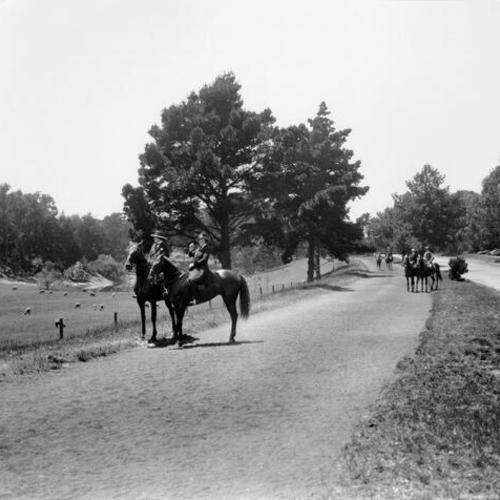 [Horseback riding on the bridle path in Golden Gate Park]