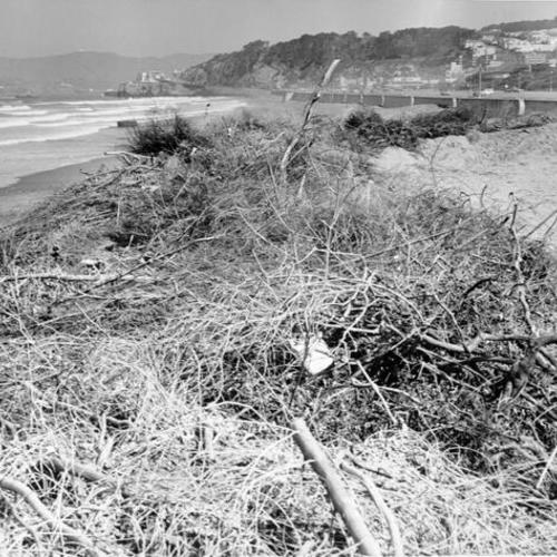 [Piles of debris at Ocean Beach]