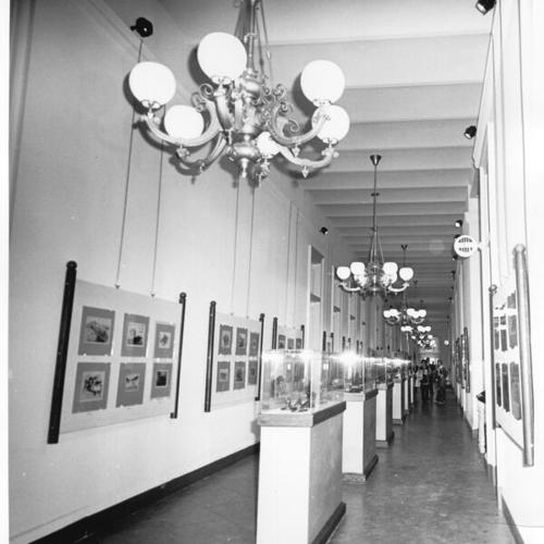 [Exhibition in old Mint building at Fifth and Mission street]