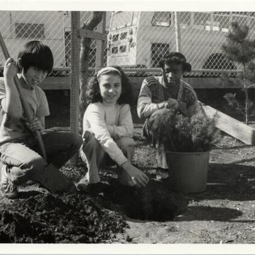 [Students from Grattan Elementary School planting Douglas Fir trees]