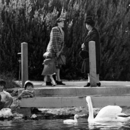 [Sightseers feed water fowl at Stow Lake]