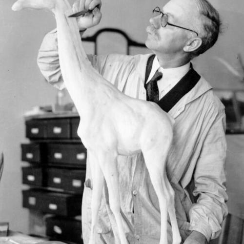 [Frank Tose works on plaster models for an exhibit at the California Academy of Sciences]