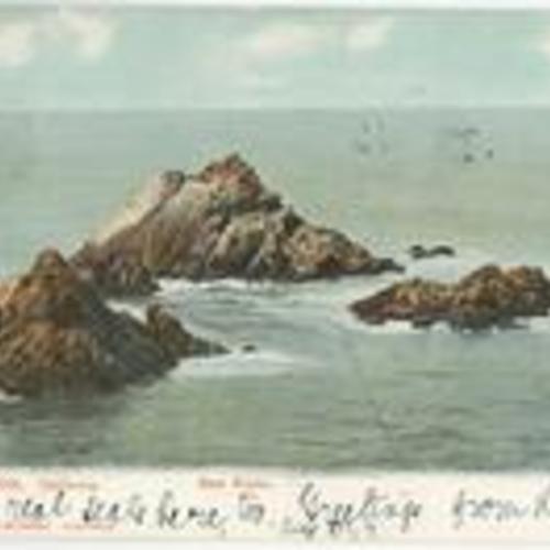 [Seal Rocks, San Francisco, California]