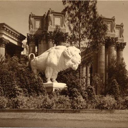 ["American Bison" sculpture at the Panama-Pacific International Exposition]
