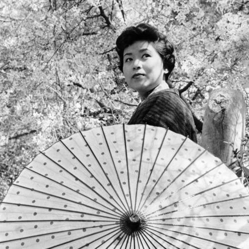 [Mrs. Fusae Fleming adds a colorful note to the scene as she strolls with a parasol amid the flowering cherry trees in the Japanese Tea Garden]