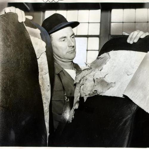[Municipal Railway employee Fred Loretz inspecting damaged seats from a Muni bus]