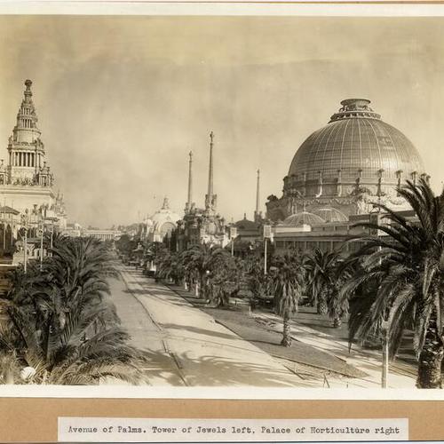 Avenue of Palms. Tower of Jewels left, Palace of Horticulture right
