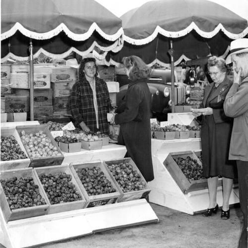 [Woman selling vegetables from a stand shaded by beach umbrellas at the Farmers' Market at Market and Duboce streets]