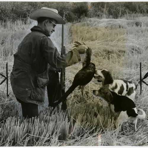 [George Dunn hunting pheasant]