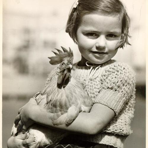 [McCoppin School student Gloria Delucchi with pet chicken, "Chickie"]