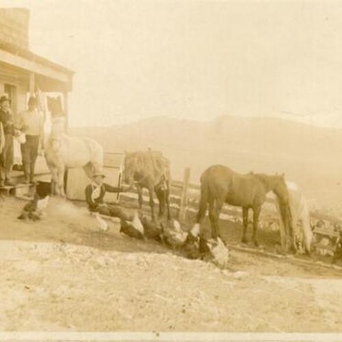 [Group of men with horses, chickens and dogs in Visitacion Valley]
