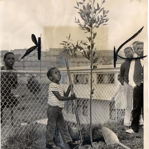 [Steve Turner helping to plant trees at the Hunters Point Housing Project]