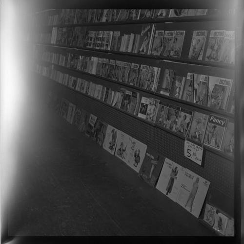 Magazine and party record display in adult bookstore