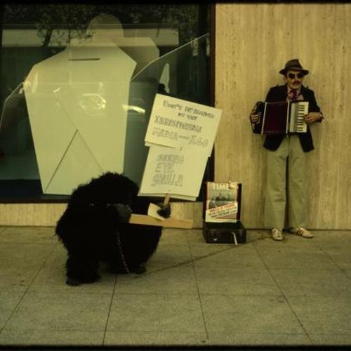 Picketing person in gorilla suit chained to another playing an accordion