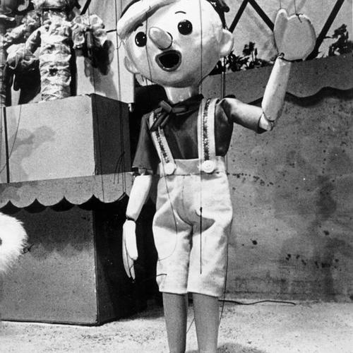 ["Pinocchio" marionette used in production at the Geary Theater]