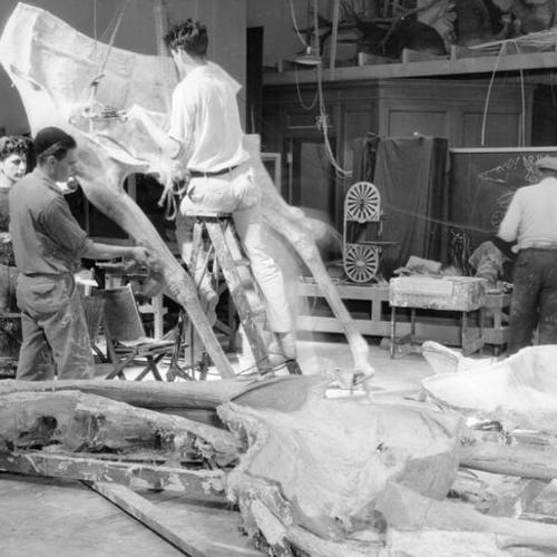 [Removing cast of Giraffe from a mold to be used in an exhibit at the California Academy of Sciences]