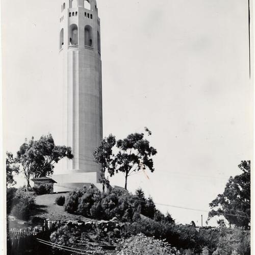 [Coit Memorial Tower atop Telegraph Hill]