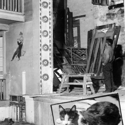 [Part of an old stage at the Hippodrome nightclub and a stray cat which lived in the building]