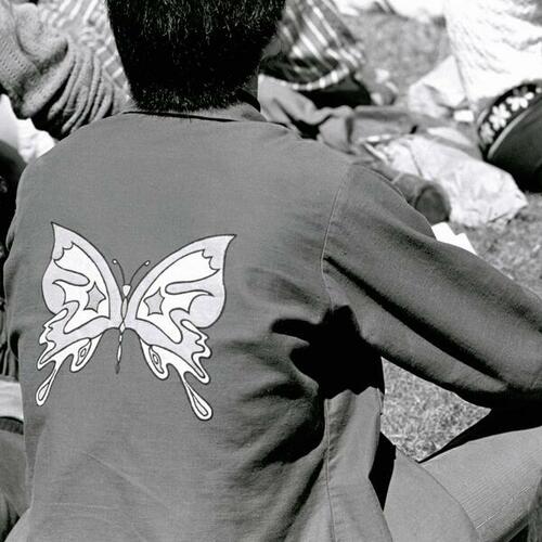 [Man wearing shirt with butterfly decoration at summer festival]