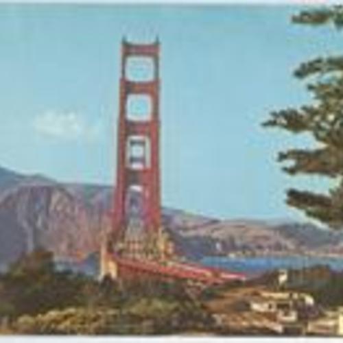 [View of Golden Gate Bridge from Presidio]