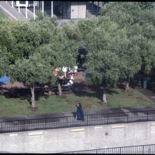 [Tents set up amongst trees at Civic Center Plaza]