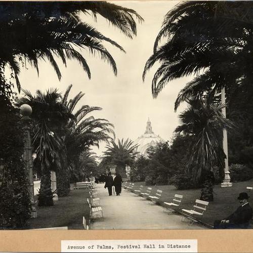 Avenue of Palms, Festival Hall in Distance