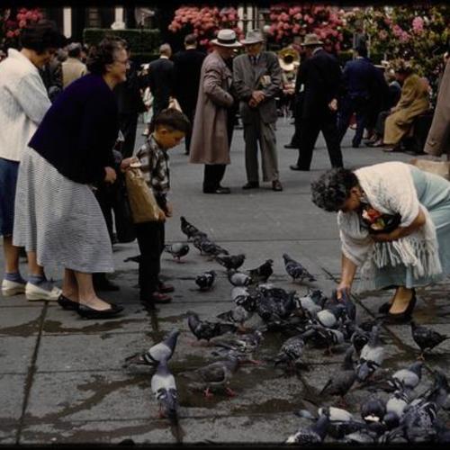 People feeding pigeons