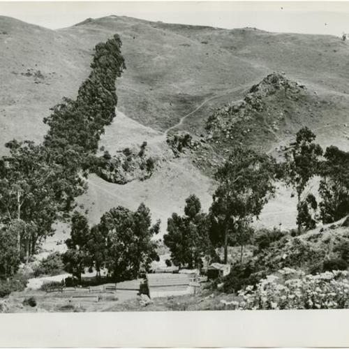 [View of Glen Canyon from O'Shaughnessy Boulevard]