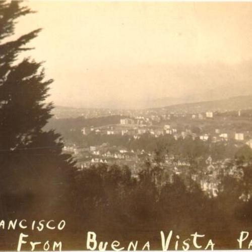 [View of San Francisco, looking west from Buena Vista Park]