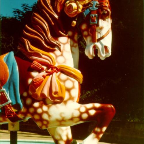 [Merry-go-round horse from carousel at Children's Playground in Golden Gate Park]