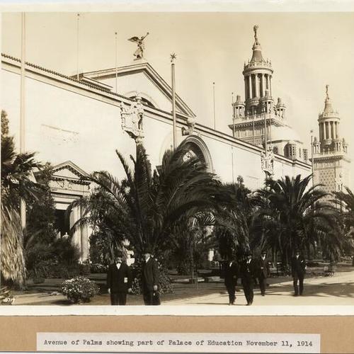 Avenue of Palms showing part of Palace of Education - November 11, 1914
