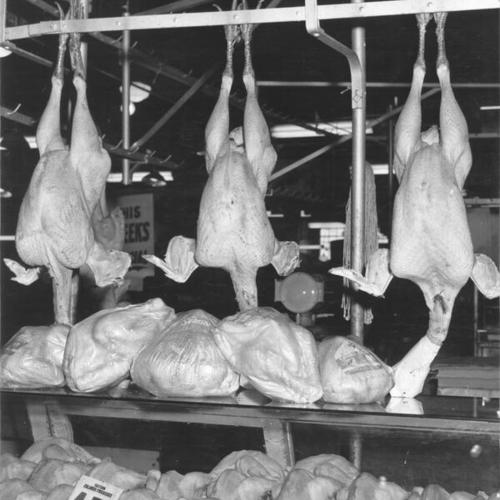 [Turkeys on display at the Crystal Palace Market]