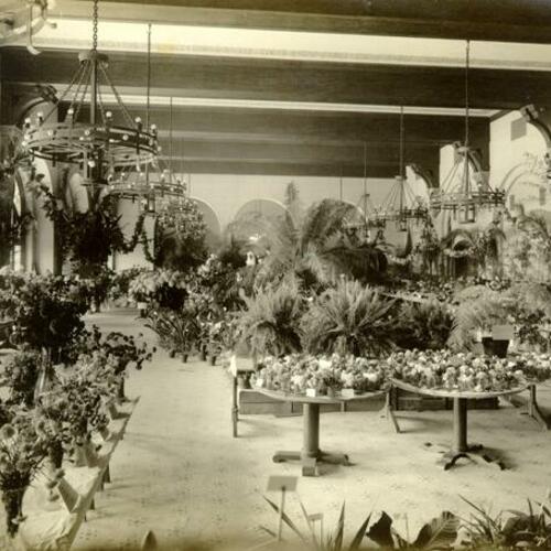 [Flower show at the Fairmont Hotel]