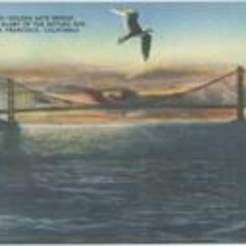 [Golden Gate Bridge in the Glory of the Setting Sun, San Francisco, California]