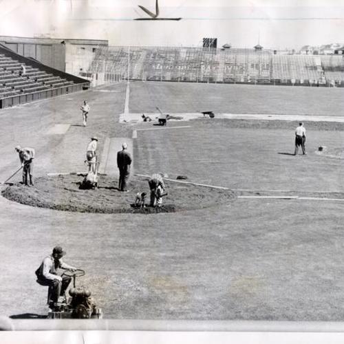 [Workers preparing Seals Stadium for opening day of baseball season]
