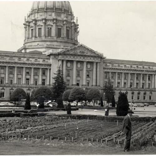 [Victory Gardens located across from City Hall]