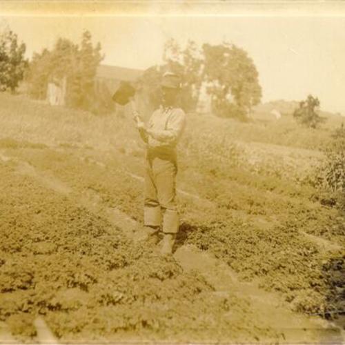 [Unidentified man working in a garden in Visitacion Valley]