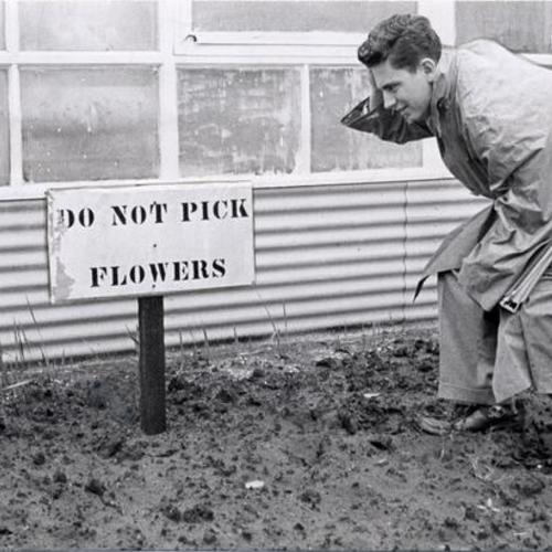 [Student Carl C. Carlan examining a sign on the campus of San Francisco State College]