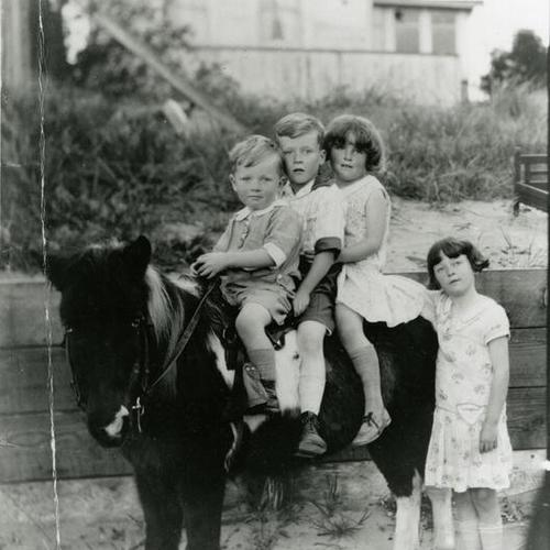 [Donald, Bob, Patsy and Dorothy with a pony]