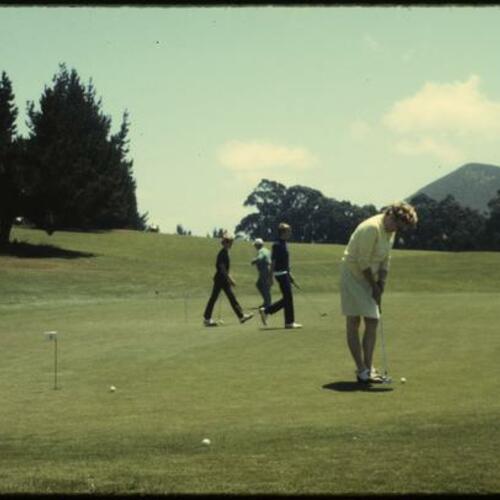 People playing golf