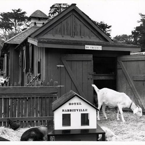 [Farmer Brown's Barn at Children's Playground in Golden Gate Park]
