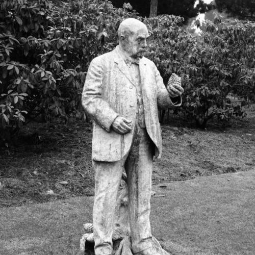 [Statue of John McLaren in Golden Gate Park]