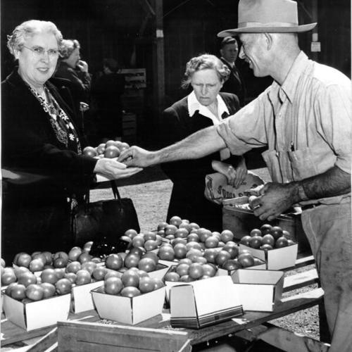 [Woman buying nectarines at the Farmers' Market at Market and Duboce streets]