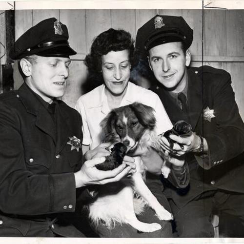 [Mrs. Bernice Mone holds a stray dog while Frank Rafferty and Ray Weiler hold the pups]