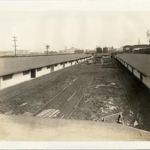 [Livestock stables at the Panama-Pacific International Exposition]