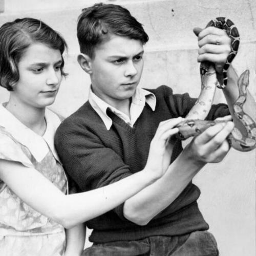 [Everett Junior High School students Pauline Stanish and Bert Bacich holding a boa constrictor]