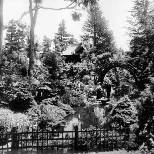 [Japanese Tea Garden at Golden Gate Park]
