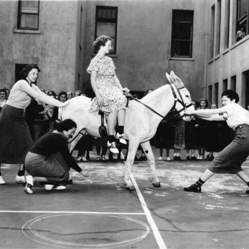 [Girls playing with a donkey on the playground of Girls High School ]