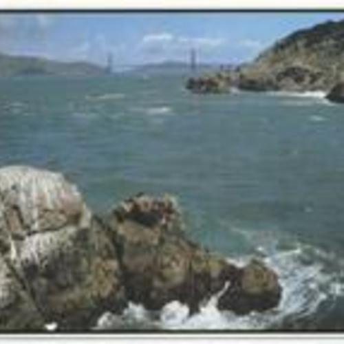 [Golden Gate Bridge viewed from Seal Rock]