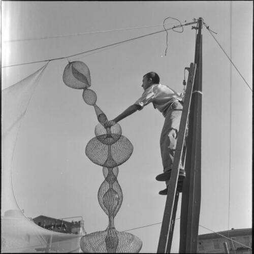 Alber Lanier installing Ruth Asawa's wire sculpture for the San Francisco Arts Festival